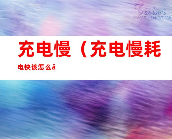 充电慢(充电慢耗电快该怎么办)