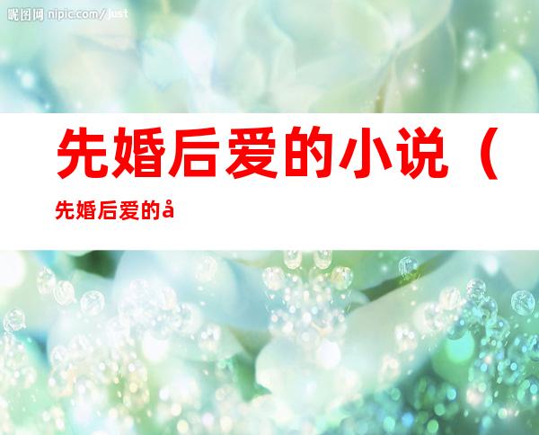 先婚后爱的小说(先婚后爱的小说推荐现言)