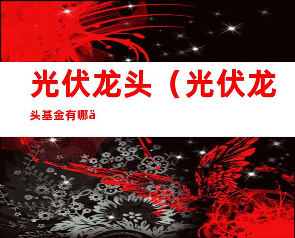 光伏龙头（光伏龙头基金有哪些）