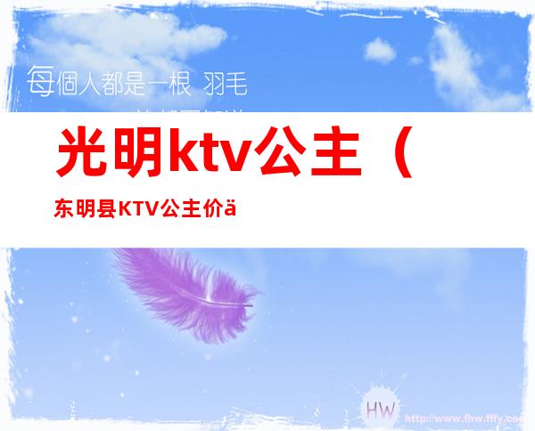 光明ktv公主(东明县KTV公主价位)