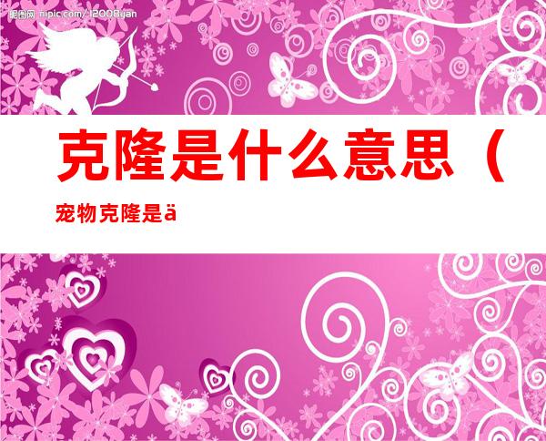 克隆是什么意思(宠物克隆是什么意思)