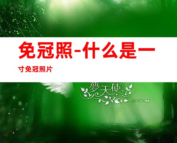 免冠照-什么是一寸免冠照片