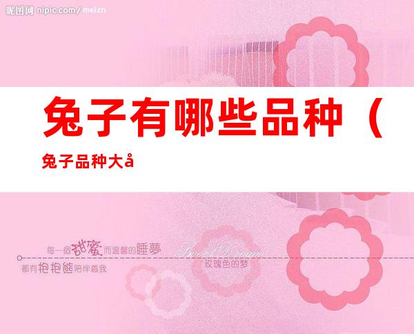 兔子有哪些品种(兔子品种大全及介绍)