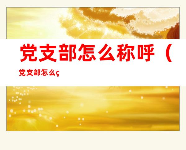 党支部怎么称呼(党支部怎么称呼人员)