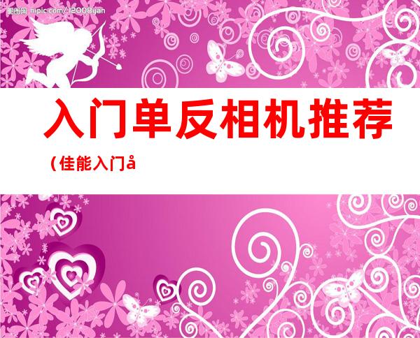 入门单反相机推荐(佳能入门单反相机推荐)