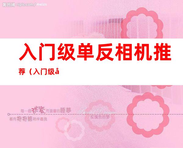 入门级单反相机推荐(入门级单反相机推荐2000左右)
