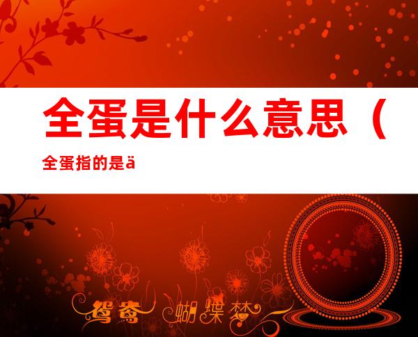 全蛋是什么意思(全蛋指的是什么)