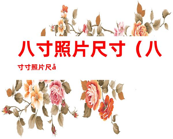 八寸照片尺寸(八寸寸照片尺寸)