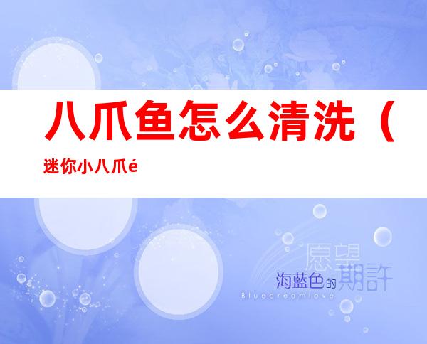 八爪鱼怎么清洗（迷你小八爪鱼怎么清洗）