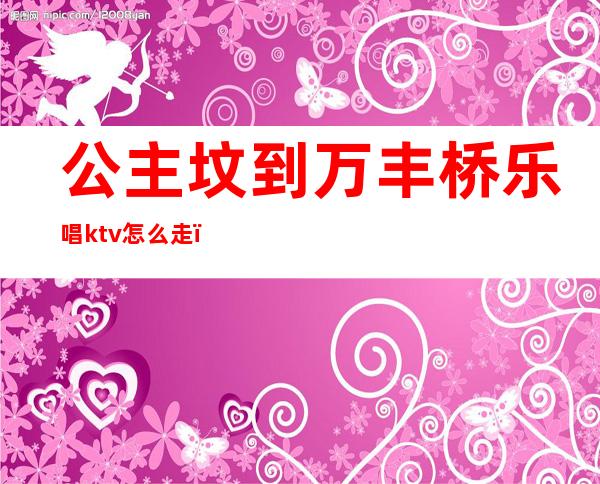 公主坟到万丰桥乐唱ktv怎么走（）