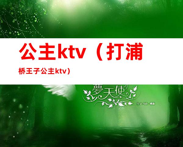 公主ktv(打浦桥王子公主ktv)