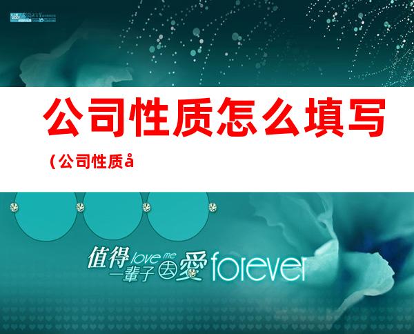 公司性质怎么填写(公司性质和公司类型怎么填)