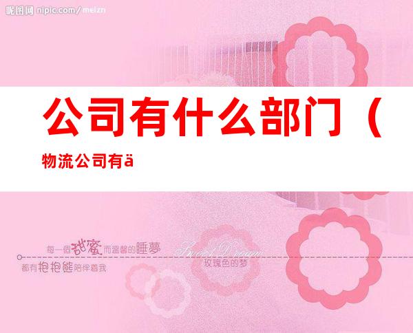 公司有什么部门（物流公司有什么部门）