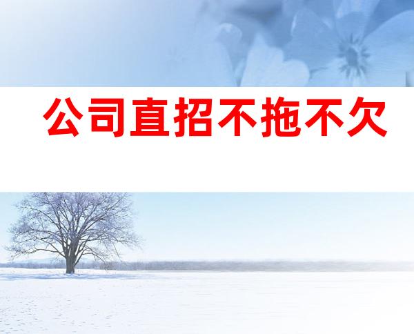 公司直招 不拖不欠
