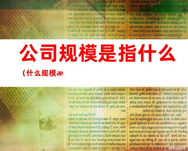 公司规模是指什么(什么规模才叫公司)