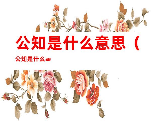 公知是什么意思(公知是什么意思)