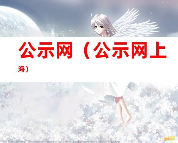 公示网（公示网 上海）