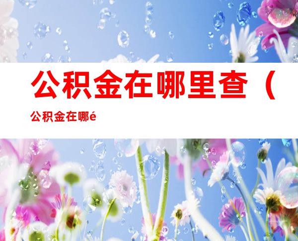 公积金在哪里查(公积金在哪里查询余额)