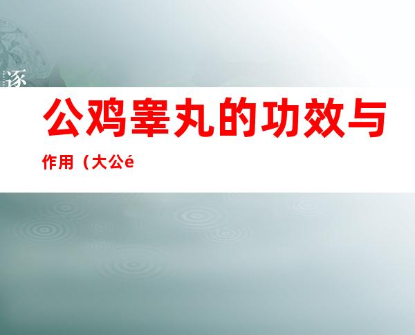公鸡睾丸的功效与作用(大公鸡睾丸的功效与作用)