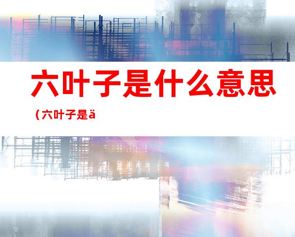 六叶子是什么意思(六叶子是什么意思方言)