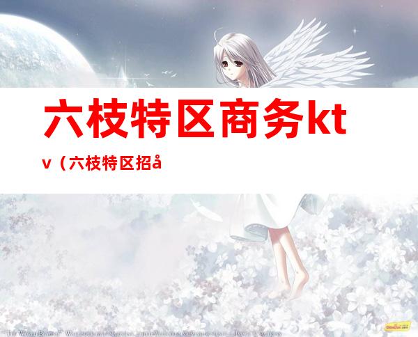 六枝特区商务ktv(六枝特区招商局)