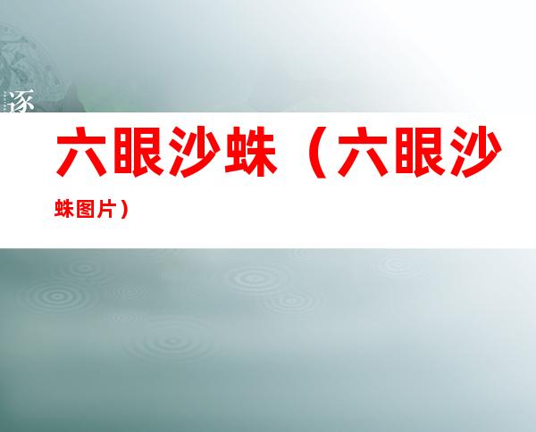 六眼沙蛛(六眼沙蛛图片)