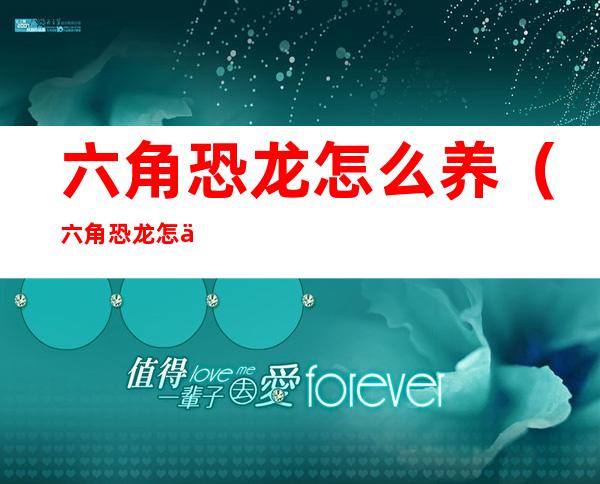 六角恐龙怎么养(六角恐龙怎么养才好)