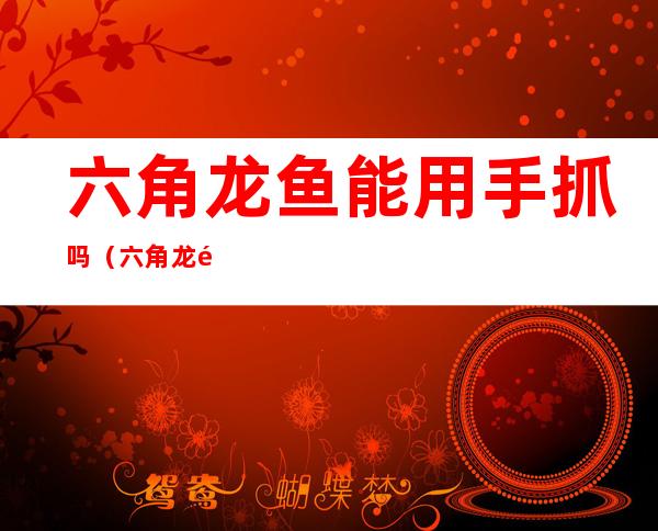 六角龙鱼能用手抓吗（六角龙鱼靠什么捕食）