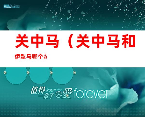 关中马(关中马和伊犁马哪个大)