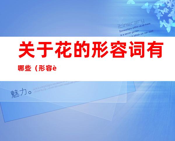 关于花的形容词有哪些(形容花的词都有哪些)
