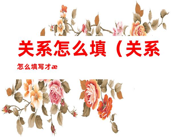 关系怎么填（关系怎么填写才正确）