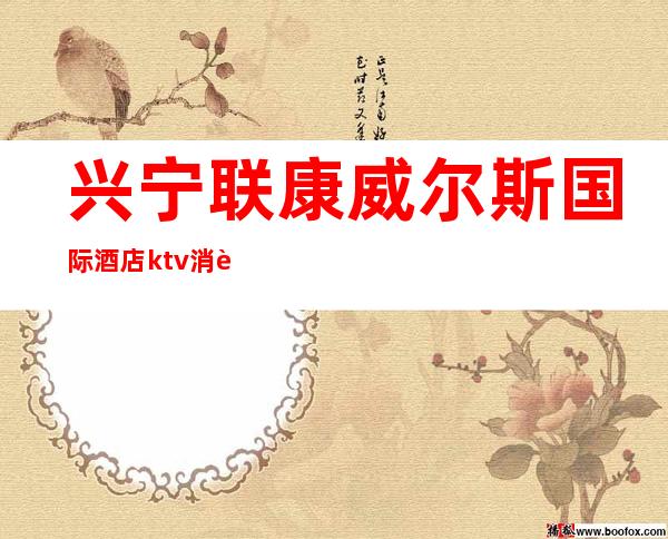 兴宁联康威尔斯国际酒店ktv消费是怎样?()