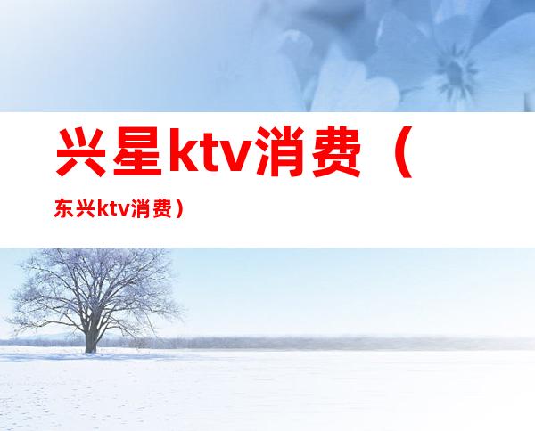 兴星ktv消费(东兴ktv消费)