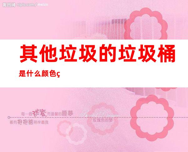 其他垃圾的垃圾桶是什么颜色的()