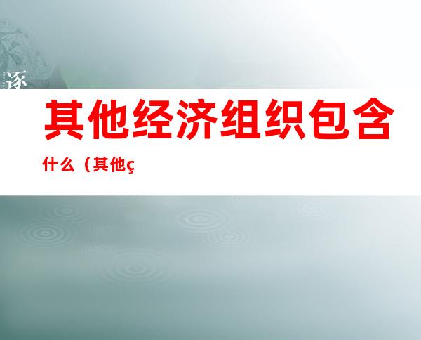 其他经济组织包含什么(其他经济组织包含什么内容)