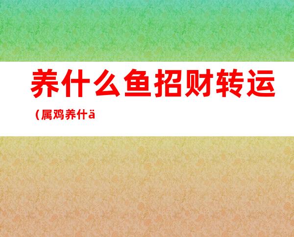 养什么鱼招财转运(属鸡养什么鱼招财转运)