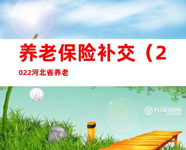 养老保险补交(2022河北省养老保险补交)