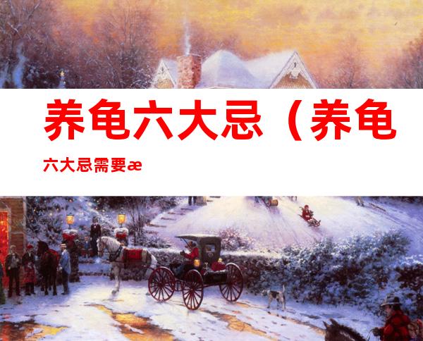 养龟六大忌(养龟六大忌需要换水吗)