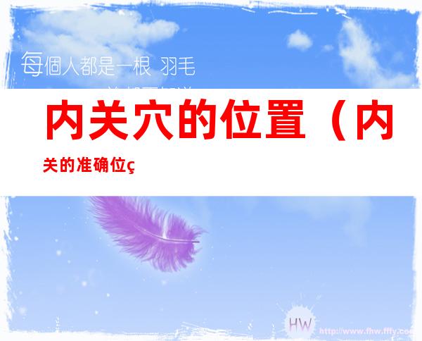 内关穴的位置（内关的准确位置图）