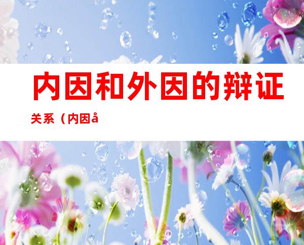 内因和外因的辩证关系(内因和外因的辩证关系出自哪里)
