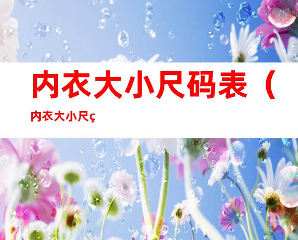 内衣大小尺码表(内衣大小尺码表对照图)