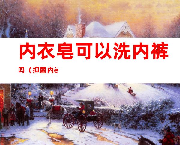 内衣皂可以洗内裤吗(抑菌内衣皂可以洗内裤吗)