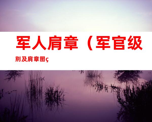 军人肩章(军官级别及肩章图片)