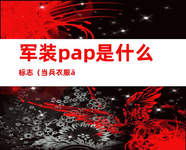 军装pap是什么标志(当兵衣服上标志PAP)