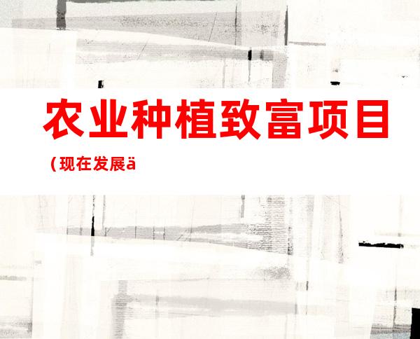 农业种植致富项目(现在发展什么农业项目比较好)