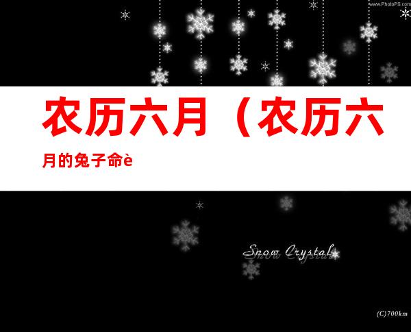 农历六月（农历六月的兔子命运如何）