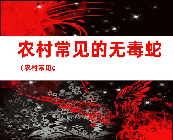 农村常见的无毒蛇(农村常见的无毒蛇辨别年龄)