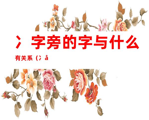 冫字旁的字与什么有关系(冫字旁的字与什么有关系 视频 新闻)