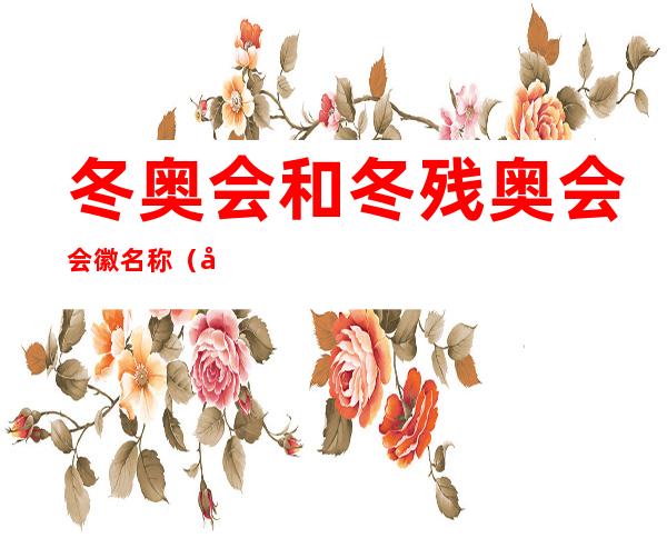 冬奥会和冬残奥会会徽名称(冬奥会和冬残奥会会徽名称区别)