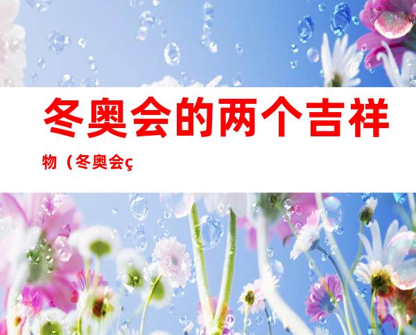 冬奥会的两个吉祥物(冬奥会的两个吉祥物是什么)